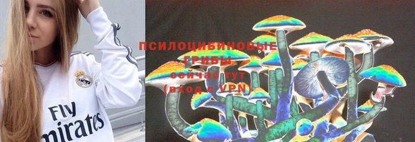 таблы Белокуриха